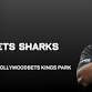 Hollywoodbets Sharks vs Lions event image