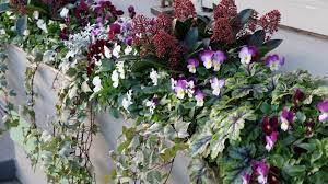 Winter doesn't have to shut your garden down, even if you're in a cold climate. Bright Berries And Winter Window Boxes Bring Joy To Your World