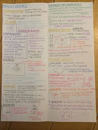 Module 1 Lecture Notes Nursing School Notes Nursing Notes Nursing School Survival