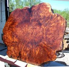 A Burl To Drool Over Burled Wood Wood Slab Walnut Wood