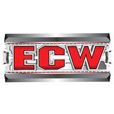 Ecw 2007 Wwe Arena Custom Logo Custom Logos Arizona Logo Wwe Arena