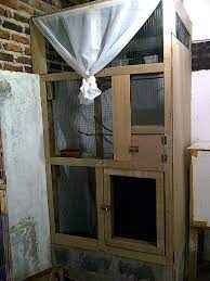 Pengalaman Pribadi Beternak Murai Batu Bag 3 Ukuran Kandang Pakan Kenari Terbaik