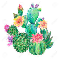 Uploaded at april 24, 2017. Exotic Natural Vintage Watercolor Blooming Cactus Greeting Card Stock Photo Picture And Royalty Free Image Image 115247612