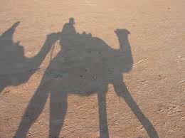 Download the perfect camels in desert pictures. Page 15 Royalty Free Cameleer Photos Pikist