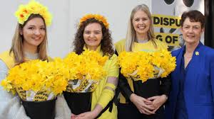 Cancer council queensland's australia's biggest morning tea has brought together millions of australians over a cup of tea in support of those affected by cancer. Daffodil Day 2019 Cancer Council Queensland Volunteers Needed The Courier Mail