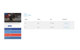 Have you ever wanted to save videos from social media websites. Vidlay Hd Free Online Video Downloader