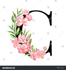 There are different triangles that can be printed. Alphabet Letter C Monogram Floral Design Stock Illustration 1376215601 Shutterstock