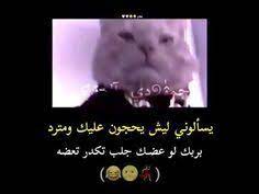 pin by شجن on romantic songs video romantic songs video romantic songs youtube videos music