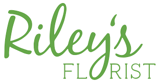 Maybe you would like to learn more about one of these? St Louis Florist Flower Delivery By Rileys Florist