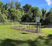 Growing Gardens