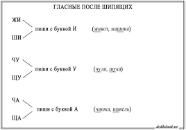 слова на жи ши ча ща чу щу чк чн Pravopisanie Bukvosochetanij Zhi Shi Cha Sha Chu Shu Soberi Slova Slova Pravila
