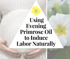 How To Use Evening Primrose Oil To Induce Labor Wehavekids Family