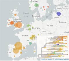 The s glycoprotein plays essential roles in virus attachment, fusion and entry into the host cell. Novel Sars Cov 2 Variant Spread Across Europe From July 2020