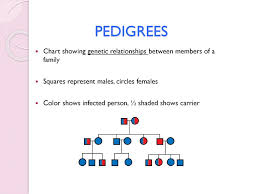 Introduction To Genetics Ppt Download
