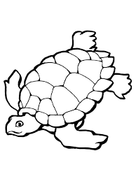 Maybe you would like to learn more about one of these? Sea Turtle Coloring Pages Free Printable Coloring Pages For Kids