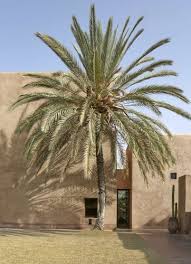 Image Description Maison De Vacances Maison Marrakech Maison D Hotes