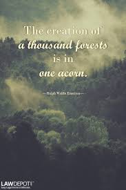 The Creation Of A Thousand Forests Is In One Acorn Ralph Waldo Emerson Motivational Quotes Words Quotes