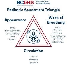 Image result for Pediatric Assessment Triangle