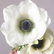 856 likes · 1 talking about this · 131 were here. University Flower Shop Home Facebook