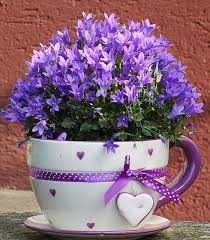 Check spelling or type a new query. Best Flowers For Pots Flowersandflowerthings Small Flower Pots Diy Flower Pots Flower Pots