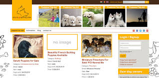Stay updated with the latest news. Where To Advertise Puppies Top 15 Sites That Convert Your Puppy Ads Into Cash Quickly