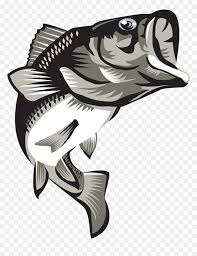 Download Largemouth Bass Final2coloured Png Download Largemouth Bass Png Transparent Png Vhv