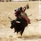 Saddle Horse Show & Rodeo Downtown Parade