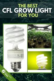 While they are considerably more expensive than fluorescent bulbs, leds use half the electricity and last five times longer, more than paying for themselves in the long run. The Best Cfl Grow Lights Grow Lights Hydroponics Best Grow Lights