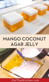 Mango Coconut Agar Agar Jelly Recipe Video Tutorial Recipe Mango Dessert Jelly Recipes Gelatin Recipes