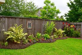Ginger Garden Along Fence Vinyl Fence Landscaping Fence Landscaping Backyard Fences