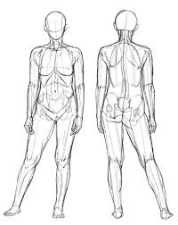 伊豆の美術解剖学者 on X: コントラポスト（片足重心）のバリエーション。コントラポストの姿勢は片脚を前に出したり、後ろに引いたり結構多彩。  t.coh2D3RC5593  X