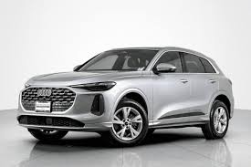 Image result for Florett Silver 2024 Q5