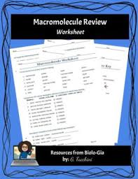 Answer to macromolecule worksheet (ch. Macromolecule Worksheet Teachers Pay Teachers