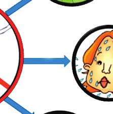 Image result for Sopubia ugandensis