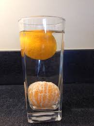 orange float or sink? science 4