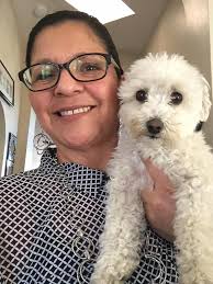 Missing Dog in Hudson near Litewood Dr