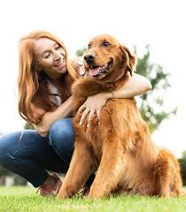 Whether you're shopping for car insurance for drivers with a suspended license or want the maximum coverage available, a range of choices exist in the marketplace. Pets Best Pet Insurance Pet Health Insurance For Dogs Cats
