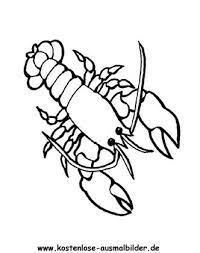 Enchanted forest coloring book water animals colouring techniques coloring book pages colorful pictures doodle art animal kingdom adult coloring seafood. Ausmalbild Hummer 1 Ausdrucken Animal Coloring Pages Ocean Coloring Pages Coloring Pages