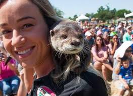Village Green at Bridgeland Central