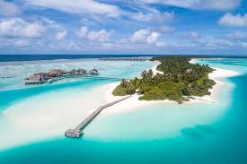Resort niyama private islands maldives 5 stars is located at olhuveli in kudahuvadhoo in 3.7 km from the centre. Niyama Private Islands Maldives Updated 2021 Prices Resort Reviews Tripadvisor
