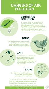 Air Pollution Our Animals Air Pollution Pollution Pet Care