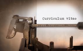Curriculum Vitae Fac Simile E Guida