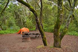 Some areas that often get overshadowed, however, are those in northern california. 12 Best Campgrounds In Northern California Planetware