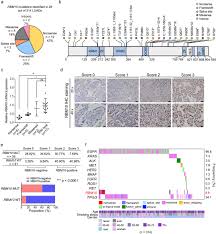 Maybe you would like to learn more about one of these? Rna Binding Motif Protein 10 Suppresses Lung Cancer Progression By Controlling Alternative Splicing Of Eukaryotic Translation Initiation Factor 4h Ebiomedicine