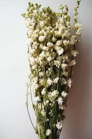 Harvested and dried with care from highly fragrant intermedia lavender. Pin By Ruth At Daisyshop Co Uk On Dried Flower Bunches Dried Flowers Wedding Dried Flowers Dried Flower Bouquet