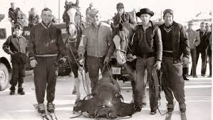 It's not in the 2014 Winter Olympics, but skijoring is alive and well in  Colo.