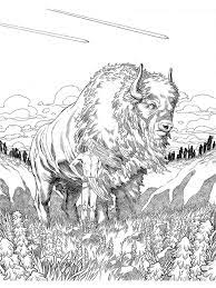 This buffalo coloring pages will helps kids to focus while developing creativity, motor skills and color recognition. Pin On Coloring Pages