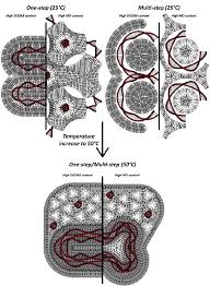 Theoretical model of lipid/DNA structural organization in pDNA/DODAB:MO... 