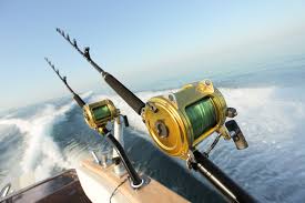 Peter fishing charter online today! Top Madeira Beach Fishing Charters You Have To Experience