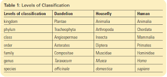 Taxonomy Sbi 3u Biology